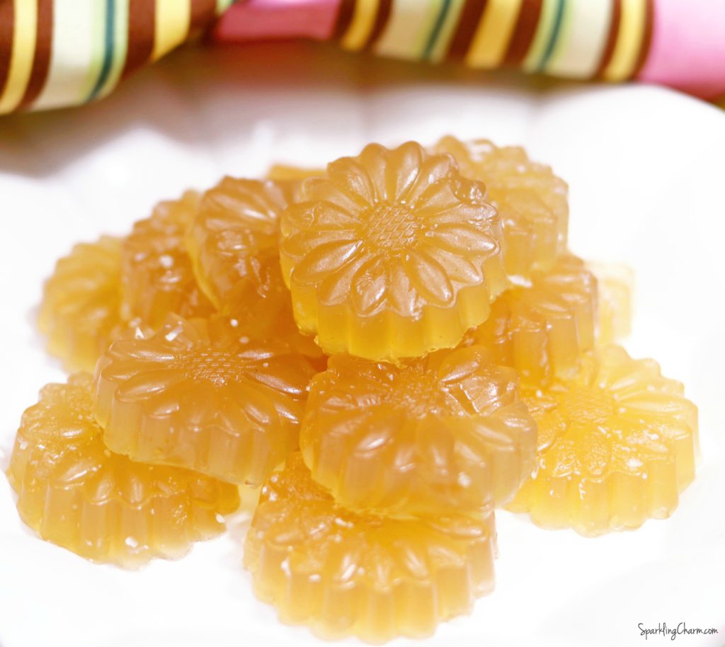 Apple Cider Vinegar Honey Gummies - Sparkling Charm